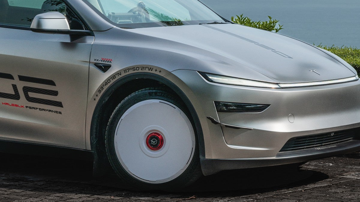 Tesla Rim Protection Options Compared